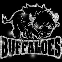 GLT32 SILVER GLITTER Thumbnail