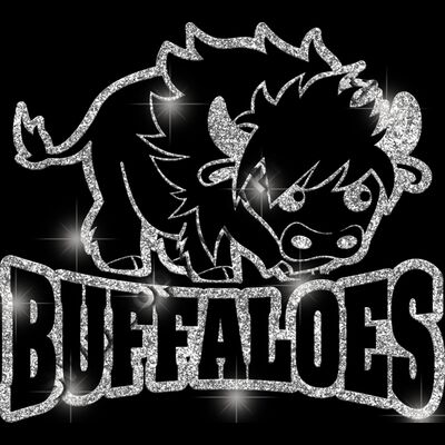 GLT32 SILVER GLITTER Thumbnail